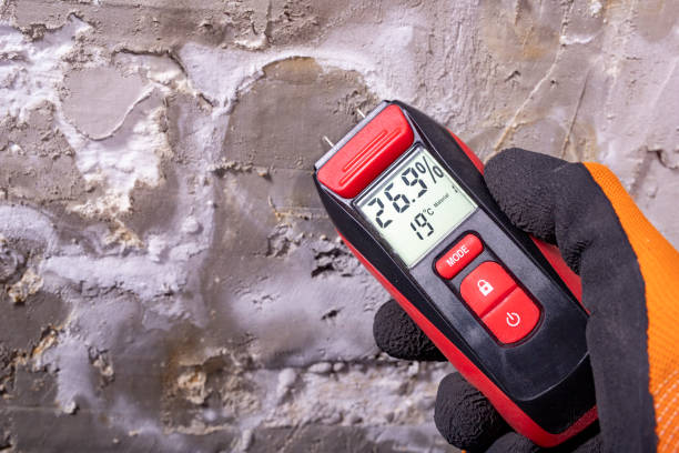 Reliable Manasquan, NJ Mold Remediation Solutions